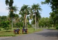 Horse carts waiting for passengers in Jogja, Indonesia