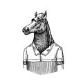 Horse character in coat. Dobbin polo player. Fashionable animal, vitorian gentleman in a jacket. Hand drawn Engraved old