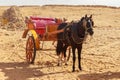 Horse chariot in desert