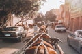 Horse chariot in street of Giza Cairo, Egypt