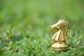 Horse chess pieces on grass filed Royalty Free Stock Photo