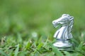 Horse chess pieces on grass filed Royalty Free Stock Photo