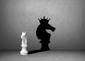 Horse chess shadow on wall Royalty Free Stock Photo