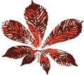 Horse chestnut leaf stamp. Imprint of fallen leaves. Autumn pattern. Royalty Free Stock Photo