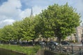 Horse Chestnut trees alongside the quay