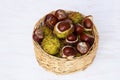 Horse chestnuts in a basket Royalty Free Stock Photo