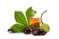 Horse chestnuts, bottle of tincture and green leaf on white background Royalty Free Stock Photo