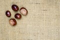 Horse chestnuts at burlap surface Royalty Free Stock Photo