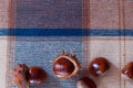 Horse-chestnuts on a fabric background.