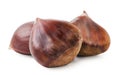 Horse chestnuts on a white background. Isolated Royalty Free Stock Photo