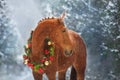 Horse in christmas decoration wreath in snowfall Royalty Free Stock Photo