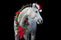 Horse in Christmas wreath and Santa hat
