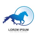 Horse Circle Logo Vector icon