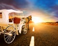 Horse and classic fairy tale carriage on asphalt road perspectiv