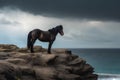 Horse on the cliff against stormy sky. 3d render