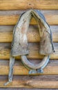 Horse collar on wooden wall