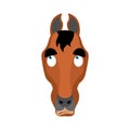 Horse confused oops. Steed perplexed emotions. hoss surprise. Vector illustration