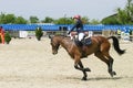 Equitation contest, horse jumping over obstacle