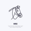 Horse, cute pony flat line icon. Logo for equestrian club, horserace equipment store