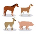 Horse deer goat and pork animal design