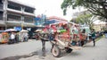 horse or delman rental in the plaza area near bogor station