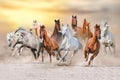 Horse desert run Royalty Free Stock Photo