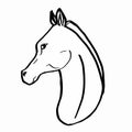 Horse realistic drawing portrait