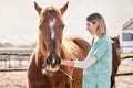 Horse doctor, stethoscope and listen at farm for health, care and inspection of animal in nature. Vet, nurse woman and Royalty Free Stock Photo