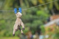 Horse doll hanging on a wire