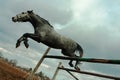 Horse dramatic jump Royalty Free Stock Photo