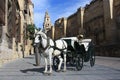 Horse-drawn barouche in front of Mezquita de Cordoba