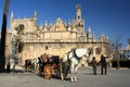 Horse-drawn barouche waiting for turists in Seville