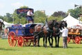 Horse drawn brewery wagon. Royalty Free Stock Photo