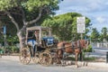 Horse-drawn Buggy in Mdina, Malta Royalty Free Stock Photo