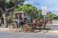 Horse-drawn Buggy in Mdina, Malta Royalty Free Stock Photo