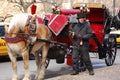 Central park buggy, New York Royalty Free Stock Photo