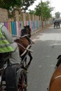 Horse drawn caleche carriage returns tourists to their cruise ship Royalty Free Stock Photo