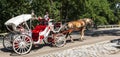 Horse drawn carraige driver explaining areas of central park Royalty Free Stock Photo