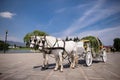 Horse drawn carriage Royalty Free Stock Photo