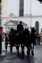 Horse-drawn carriage Royalty Free Stock Photo