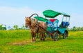 The horse-drawn carriage on the meadow, Bogolyubovo, Russia