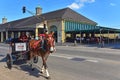 Donkey drawn carriage by Cafe du Monde in New Orleans