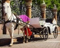 Horse-drawn carriage (carriage) - tourist transport