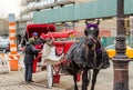 Horse Drawn Carriage in Central Park, Manhattan, New York City. The Owner is About to Take a Couple for a Ride. Royalty Free Stock Photo