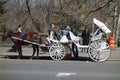 Horse-Drawn Carriage in New York City Royalty Free Stock Photo