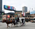 A Horse-drawn Carriage in Chicago