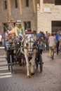Horse drawn carriage Florence Royalty Free Stock Photo