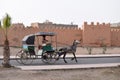 Horse drawn carriage in front of the city wall of Taroudant, Morocco