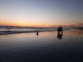 A horse-drawn carriage with a group of people driving at sunset time on the wet and reflecting beach sand from right to left