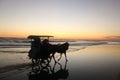 A horse-drawn carriage with a group of people driving in very close distance at sunset time on a wet and reflecting beach sand